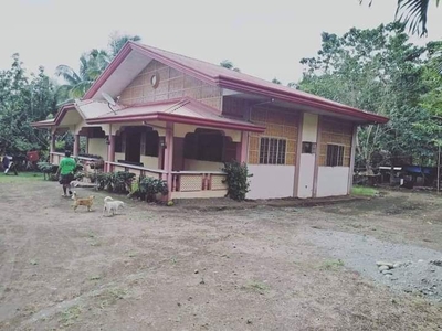 Farm lot with HOUSE in calinan davao city