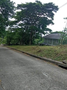 FOR SALE LOT ONLY IN talamaban Metropolis