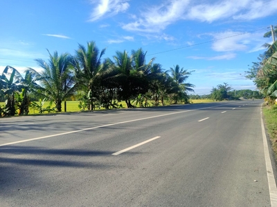 Land For Sale along National Highway in Butuan