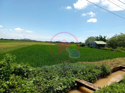 Lot For Sale In Rosales, Pangasinan