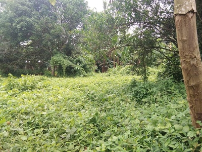 Lot for Sale in Tacunan Davao