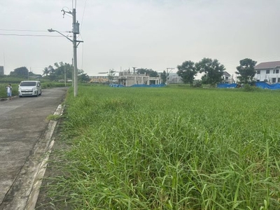 Lot for sale near New Clark Green City Capas, Tarlac (ideal for Gasoline Station