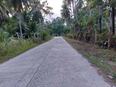 Residential lot in Bacong/Dumaguete for Sale