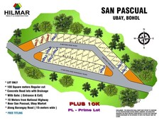 LOT FOR SALE in San Pascual Ubay Bohol, Philippines