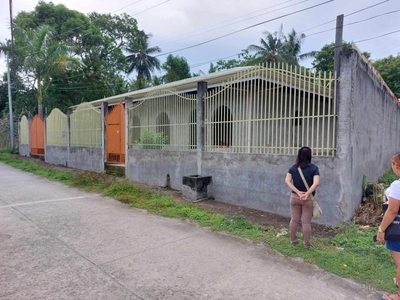 3 bedroom House and Lot for sale in Bacong