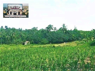 Lot For Sale In Angilan, Aloguinsan