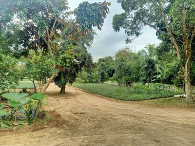 Lot For Sale In Buck Estate, Alfonso