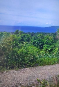 Residential Lot for sale in Siquijor