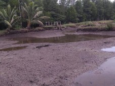 fishpond ready to culture For Sale Philippines
