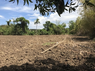 AGRICULTURAL / FARM LOT FOR SALE IN CALATAGAN, BATANGAS