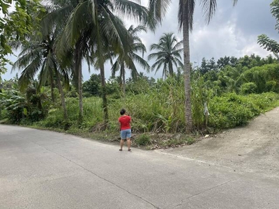 Lot For Sale In Bucal, Amadeo