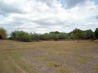 , Malasiqui, Pangasinan lot for sale 2.5hectares lot for s