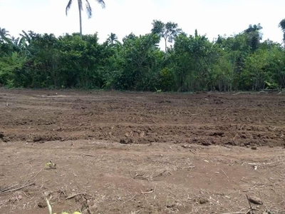 residential farm lots for sale!!! in amadeo cavite