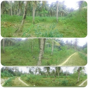 Titled Lot for Sale in Siargao