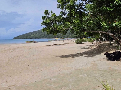 100 sqm White Sand Beach Lot for Sale Located at Butuanan Island, Camarines Sur