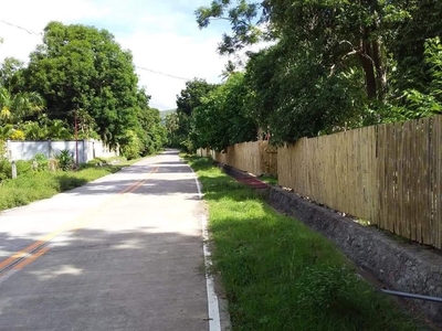 2600 sqm Flat Lot for sale - Great for residential house in Mambajao, Camiguin