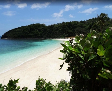 5,002 sq.m. Prime Beach Lot for Sale in General Luna, Surigao del Norte