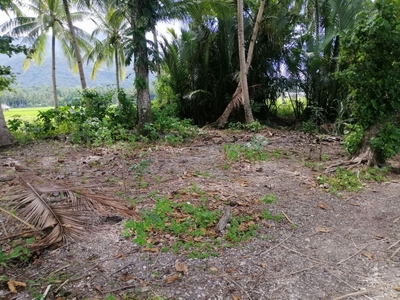 Undeveloped Beach Lot.... for sale