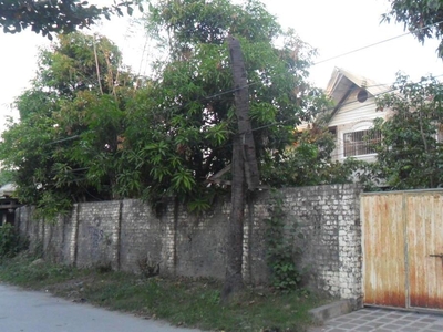 712 Sqm House And Lot For Sale