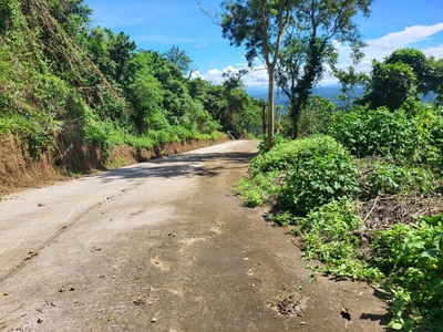 Lot For Sale In Bugaan East, Laurel
