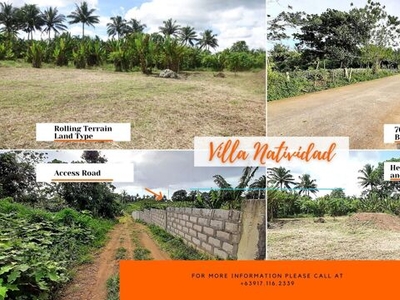 Lot For Sale In Dagatan, Amadeo