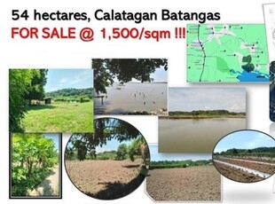 Lot For Sale In Bucal, Calatagan