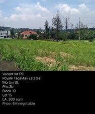 Lot For Sale In Buck Estate, Alfonso