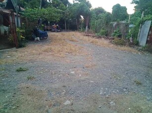 Lot For Sale In Buray, Oton