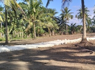 Lot For Sale In Cabay, Tiaong