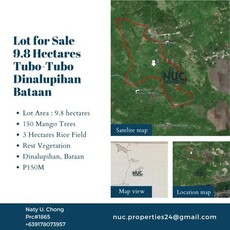 Lot For Sale In Tubo-tubo, Dinalupihan