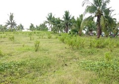 AFFORDABLE LOTS BESIDE THE BOGO HIGHWAY OVERLOOKING VIEW, YOU CAN USE IT IF 50% PAID