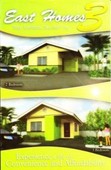3 East Homes H&L in Bacolod For Sale Philippines