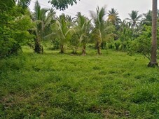 2400SQM Titled Farm lot for sale Near Tagaytay