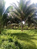 4 Hectares Land for Sale