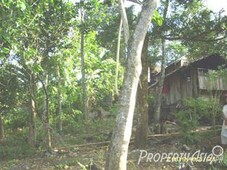 483 sqm residential land lot sale in pagadian city