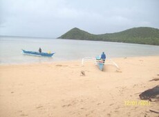 Beach Property for sale For Sale Philippines