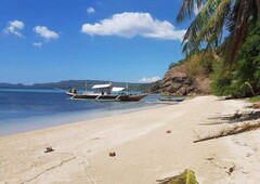 White Beach Land, Titled, with Lot Plan , 8.1 hectares
