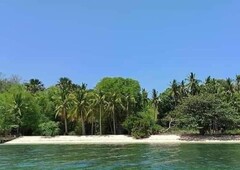 White Beach Land , Titled with SPA, 5 hectares, with coconut and mango trees,