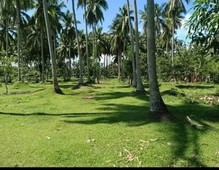 2 Hectares Farm Land for sale in Sta Cruz, Laguna
