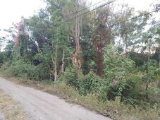 LOT for residential at Dona Soledad Labangal