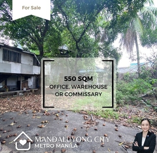 House For Sale In Mandaluyong, Metro Manila