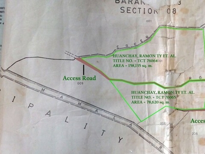 Lot For Sale In Daang Pare, Orion
