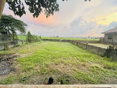 Lot For Sale In Lalig, Tiaong