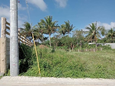 Lot For Sale In Luksuhin, Alfonso