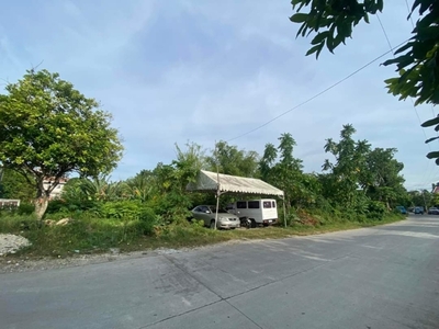 Lot For Sale In Tagbilaran, Bohol