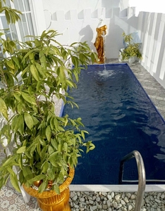 House with Swimming pool (NEW) for Sale