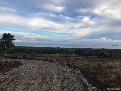 1,886 Sqm Residential Land/lot For Sale In Dumaguete City