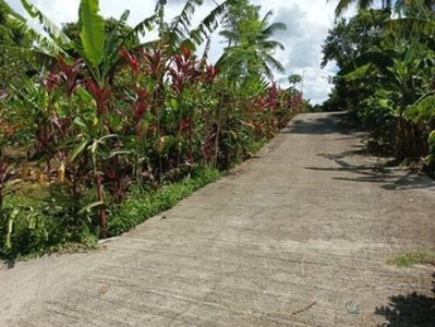 1000 sq. meters Farm Lot for sale in Palumlum, Alfonso, Cavite