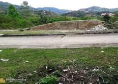 180sqm Mountain View Lot for Sale in Greenwoods Talamban Cebu