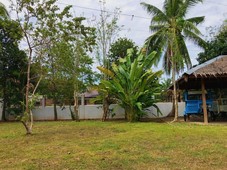 2000 SQM Titled Lot for Sale in Panglao (Next to Malinawon)